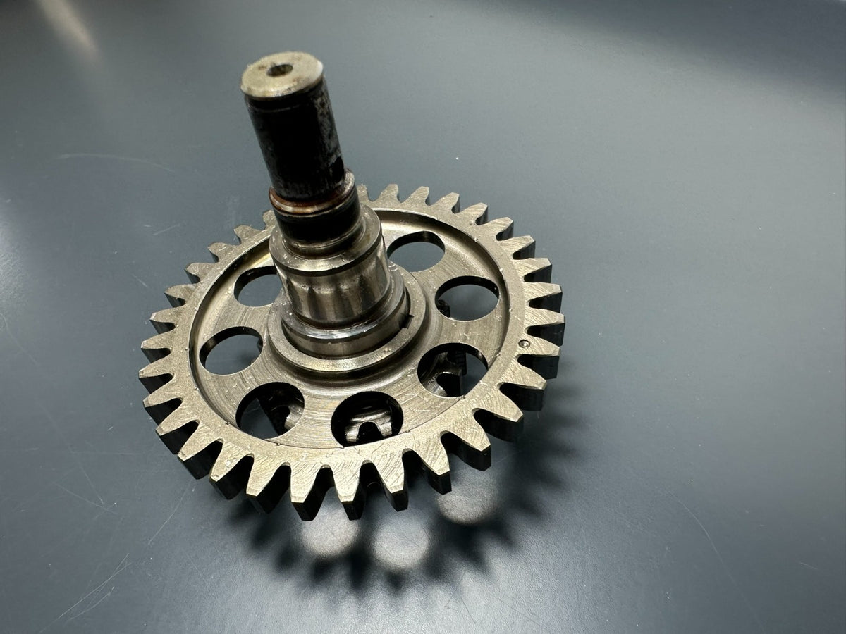 v1|137312595079|0