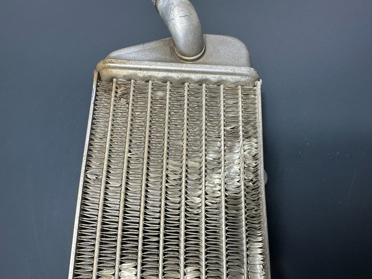 v1|137321302569|0