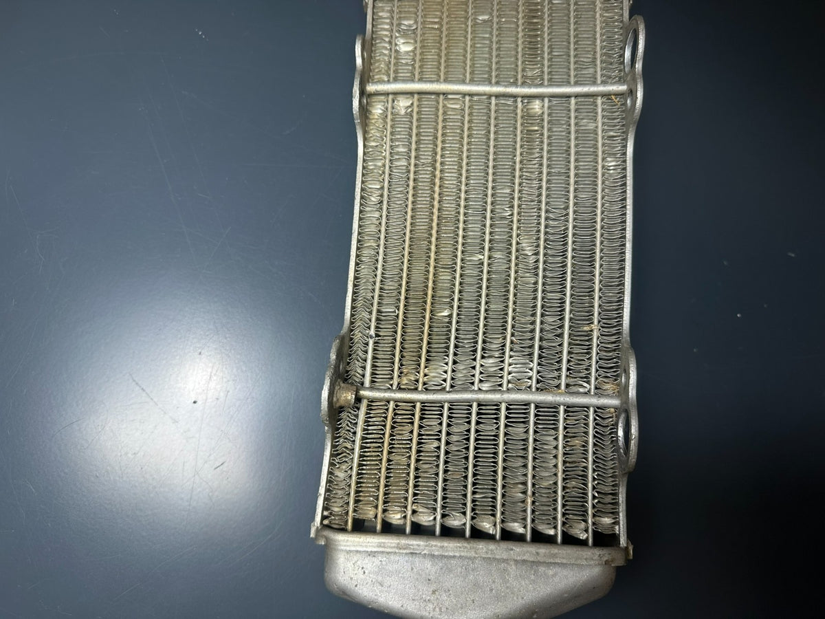 v1|137686382410|0