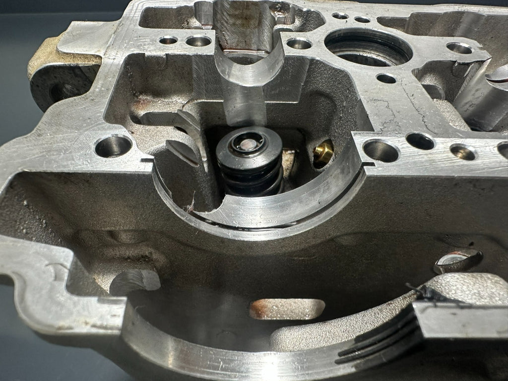 v1|137751922303|0