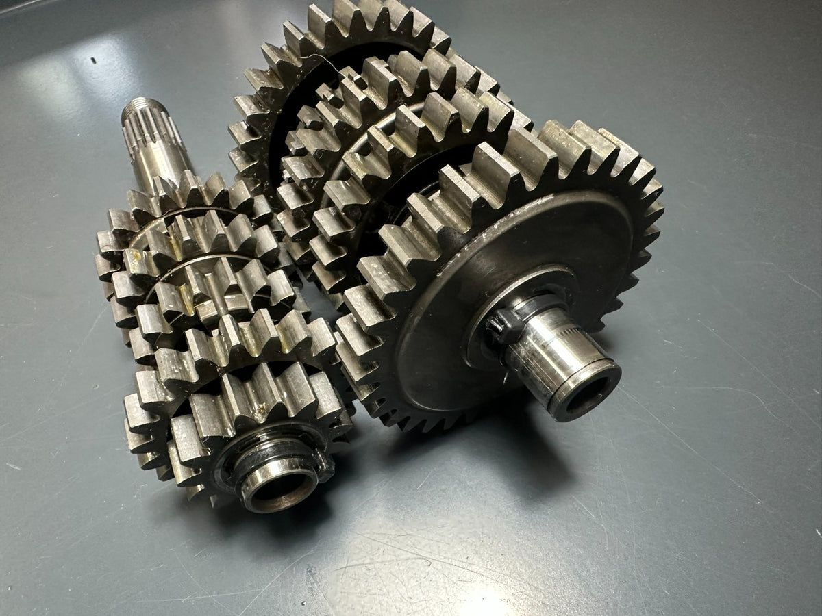 v1|137686406818|0