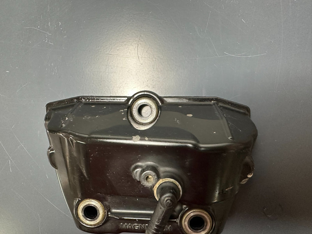 v1|137312194631|0