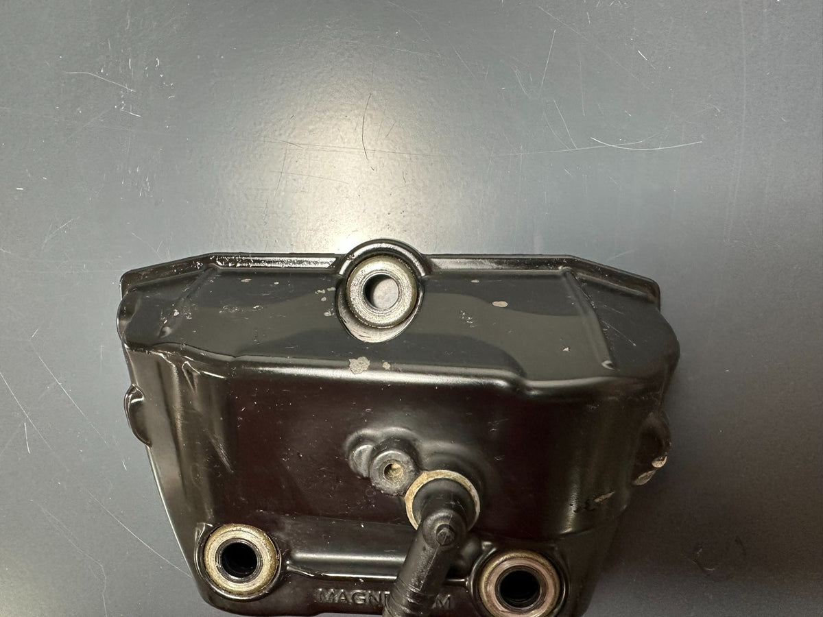 v1|137312194631|0