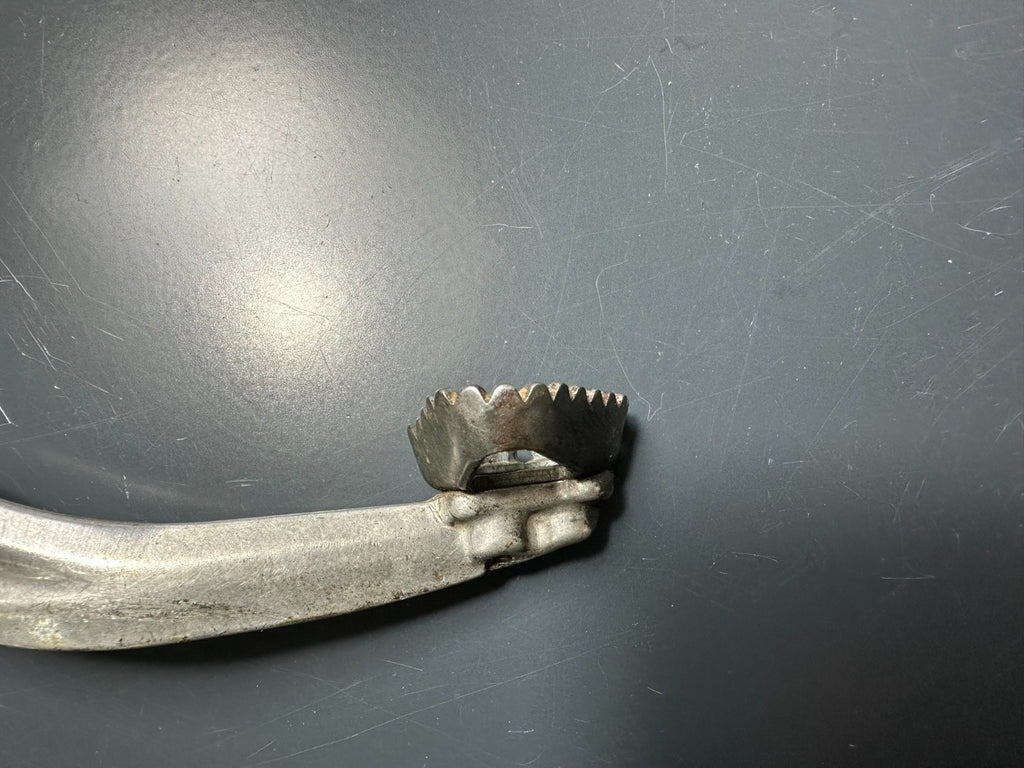 v1|137150628755|0