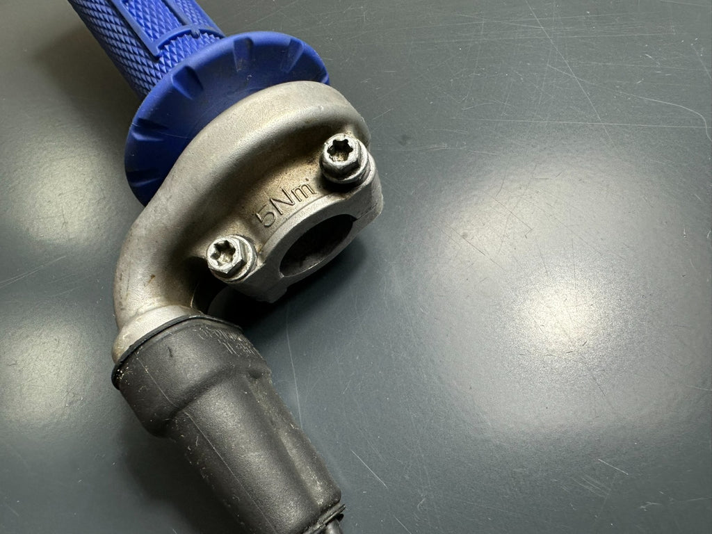 v1|137533880834|0