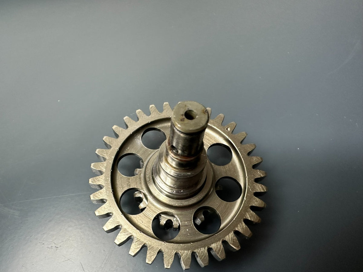 v1|137312595079|0