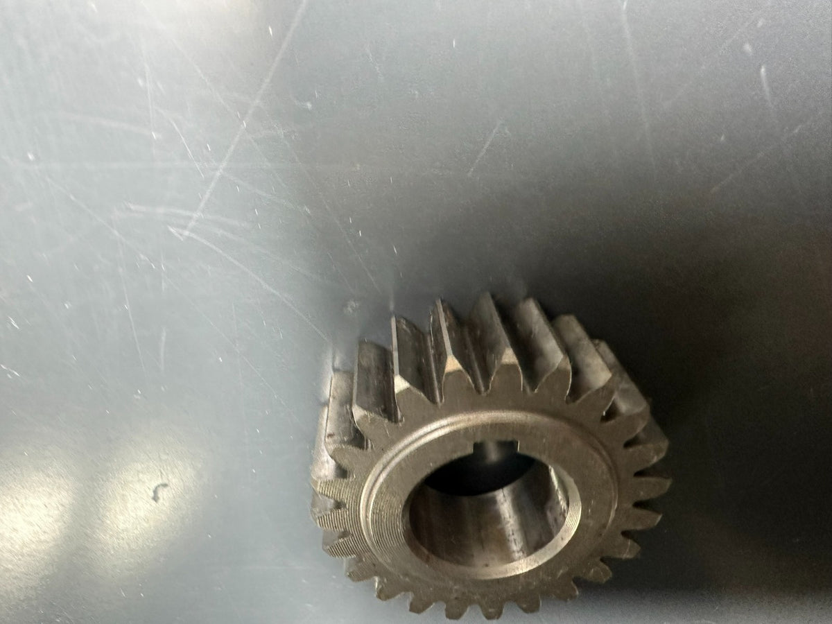 v1|137127028824|0