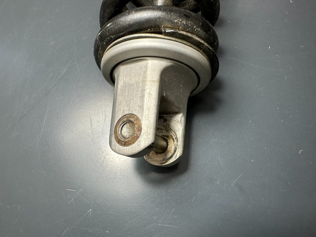 v1|137455360311|0