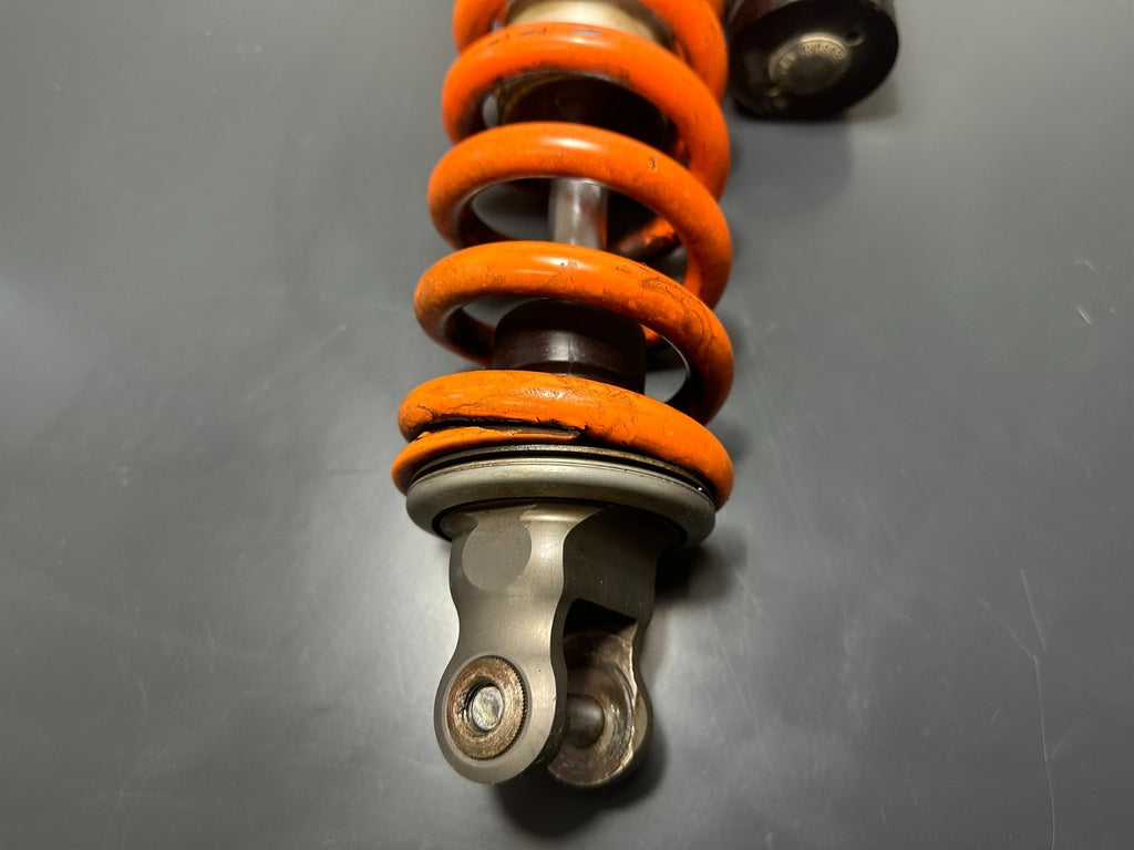 v1|137334263510|0