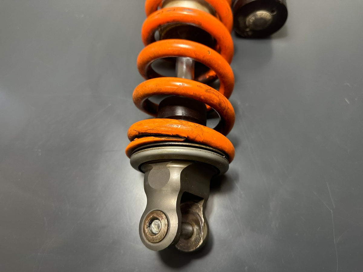 v1|137334263510|0