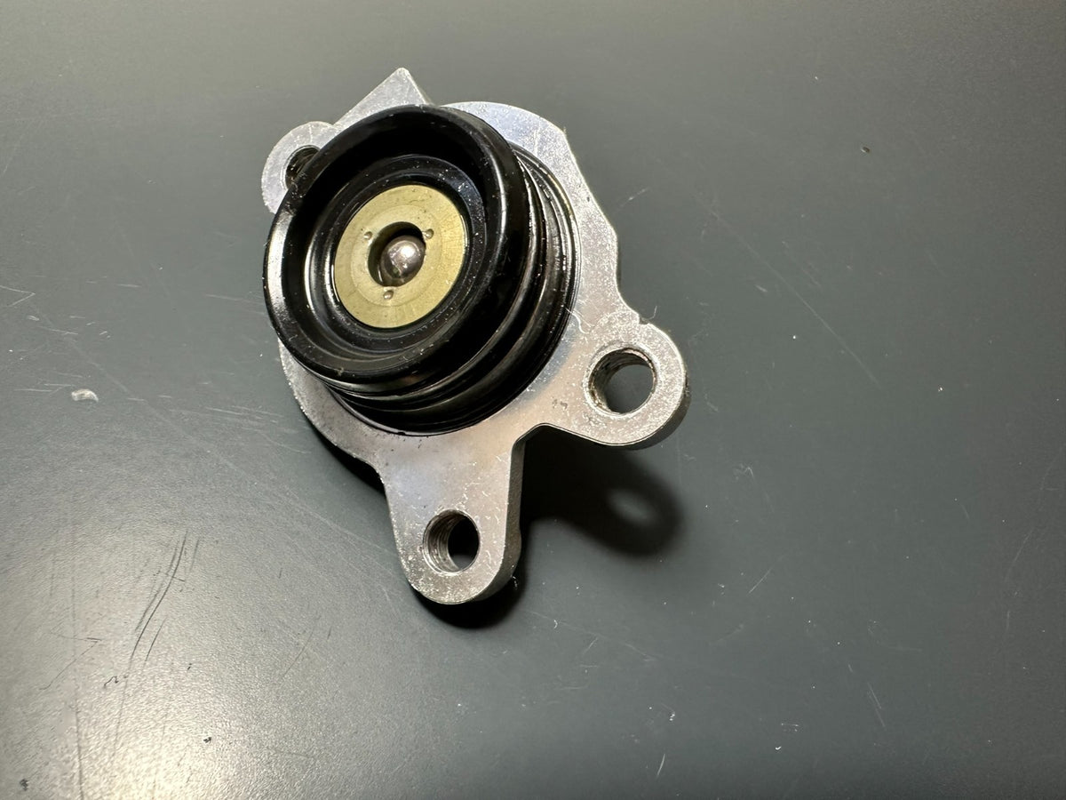 v1|137234318173|0