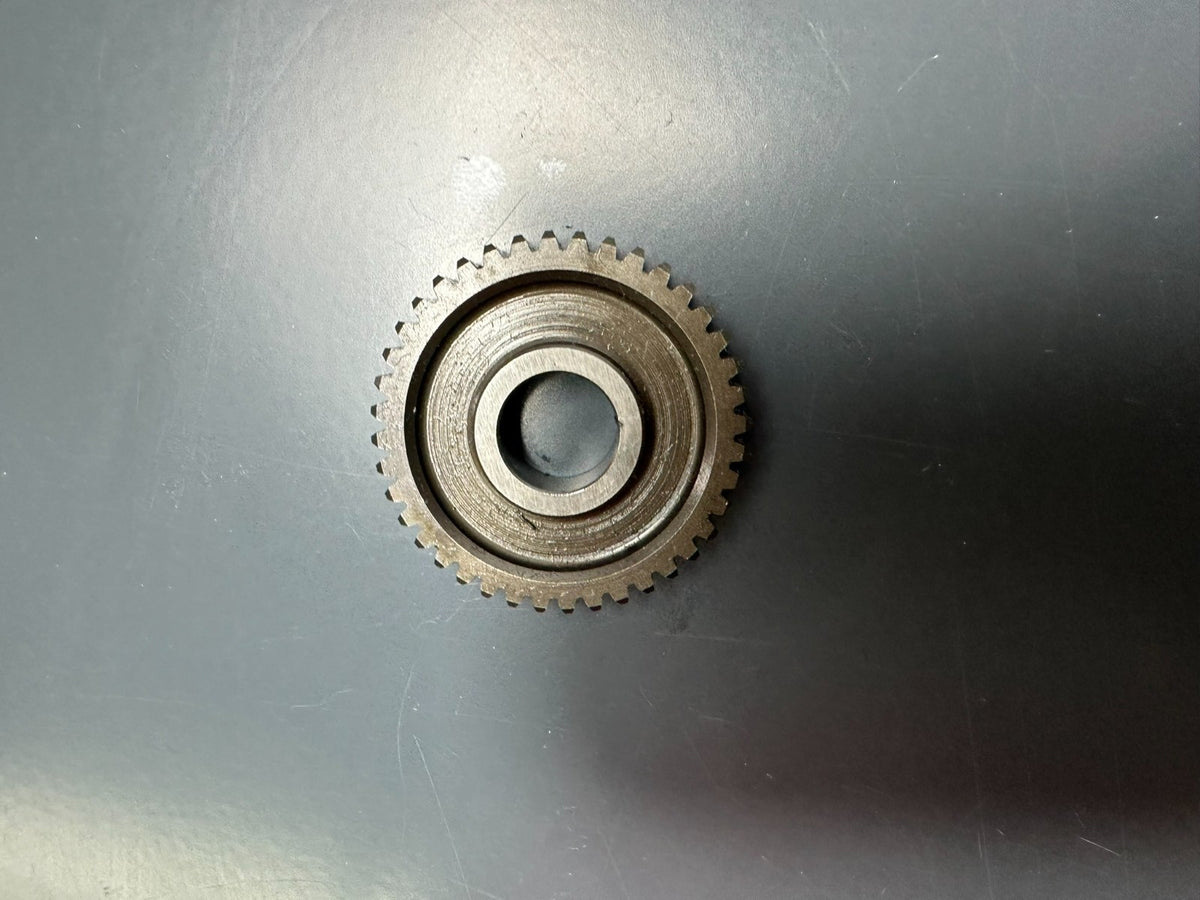 v1|137312948246|0