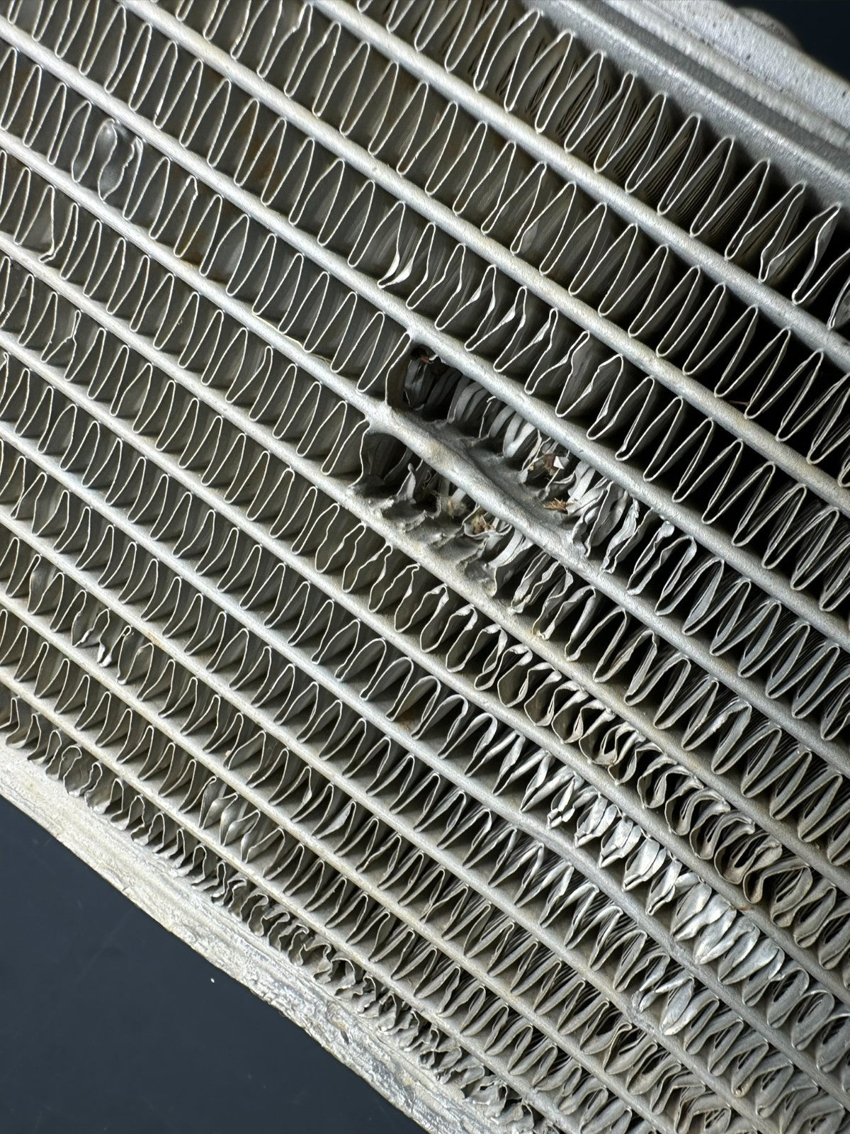 v1|137515560307|0