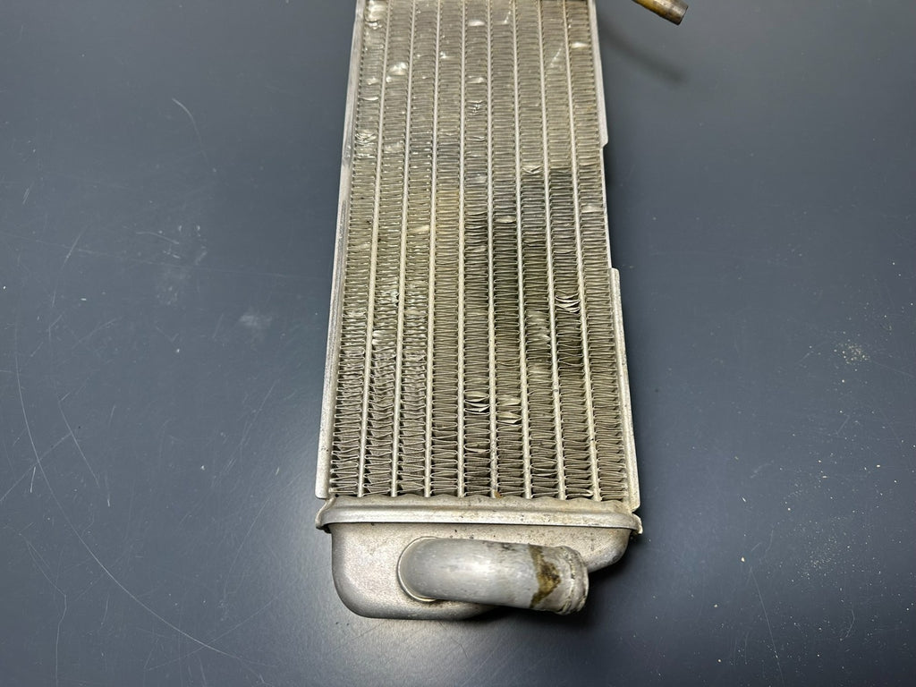 v1|137150429155|0