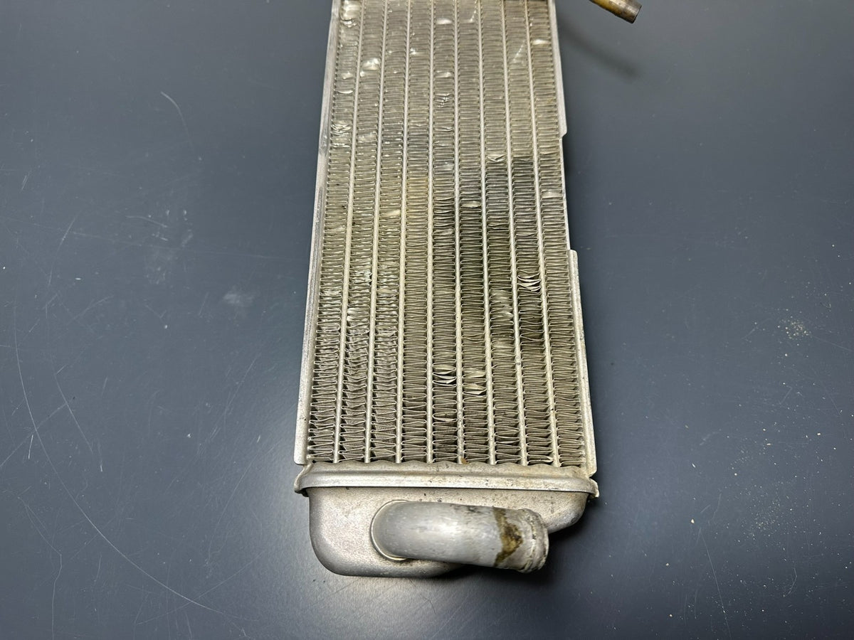 v1|137150429155|0