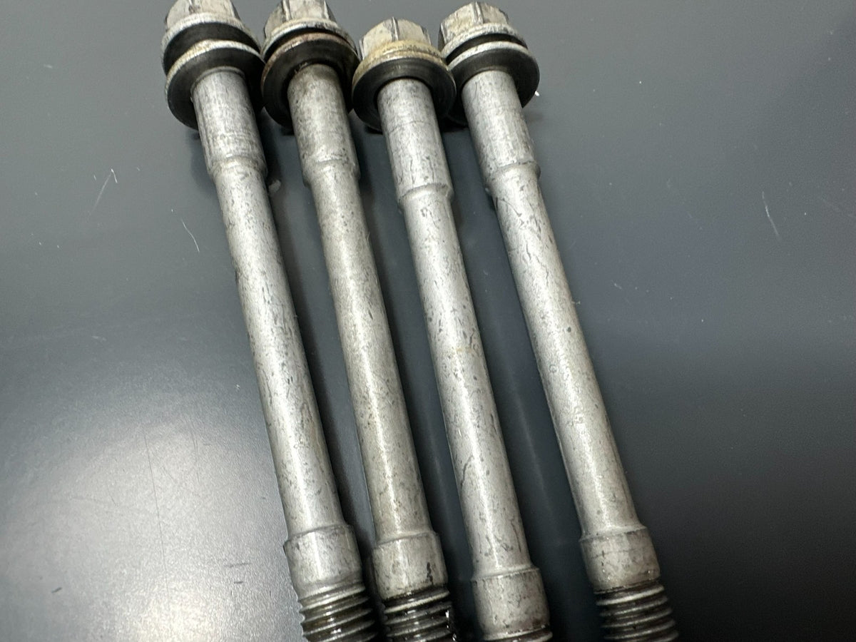 v1|137312688795|0