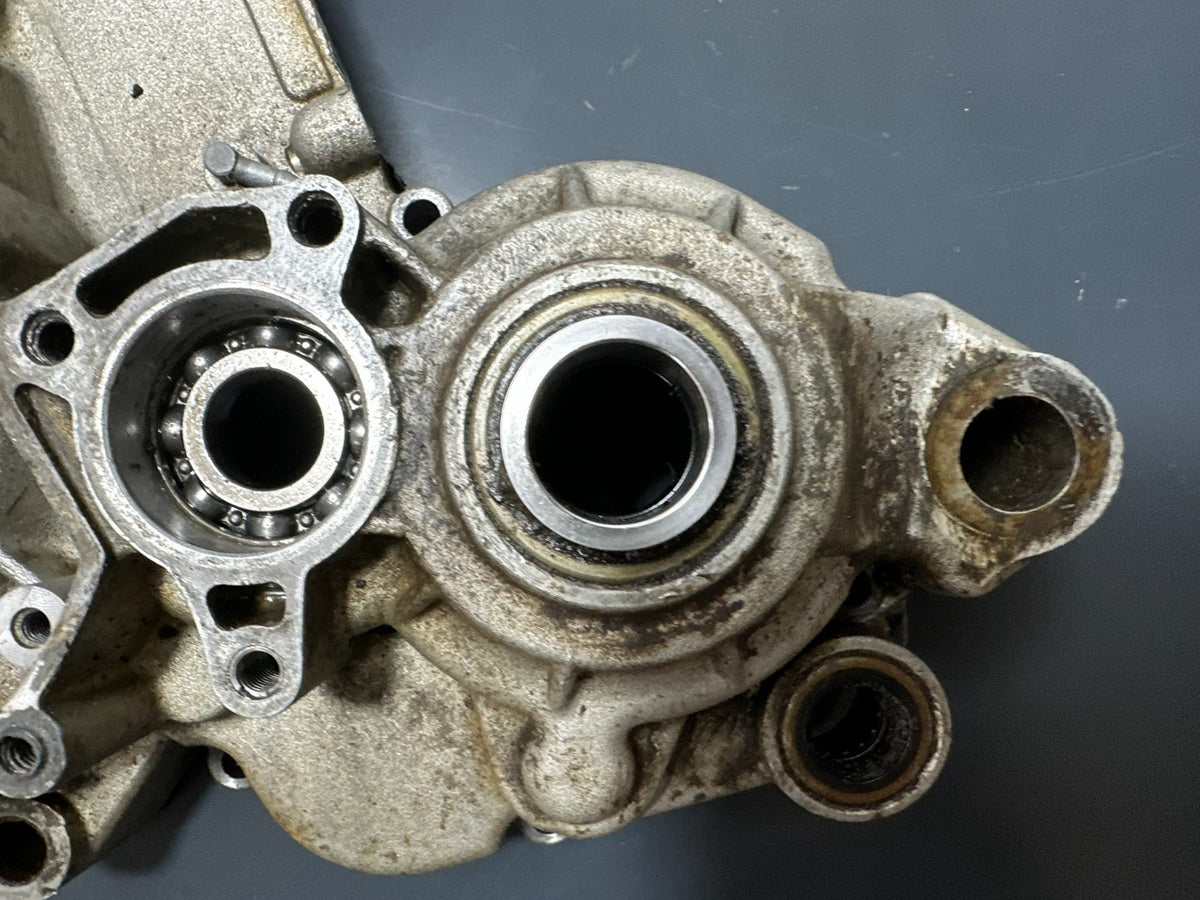 v1|137214829463|0