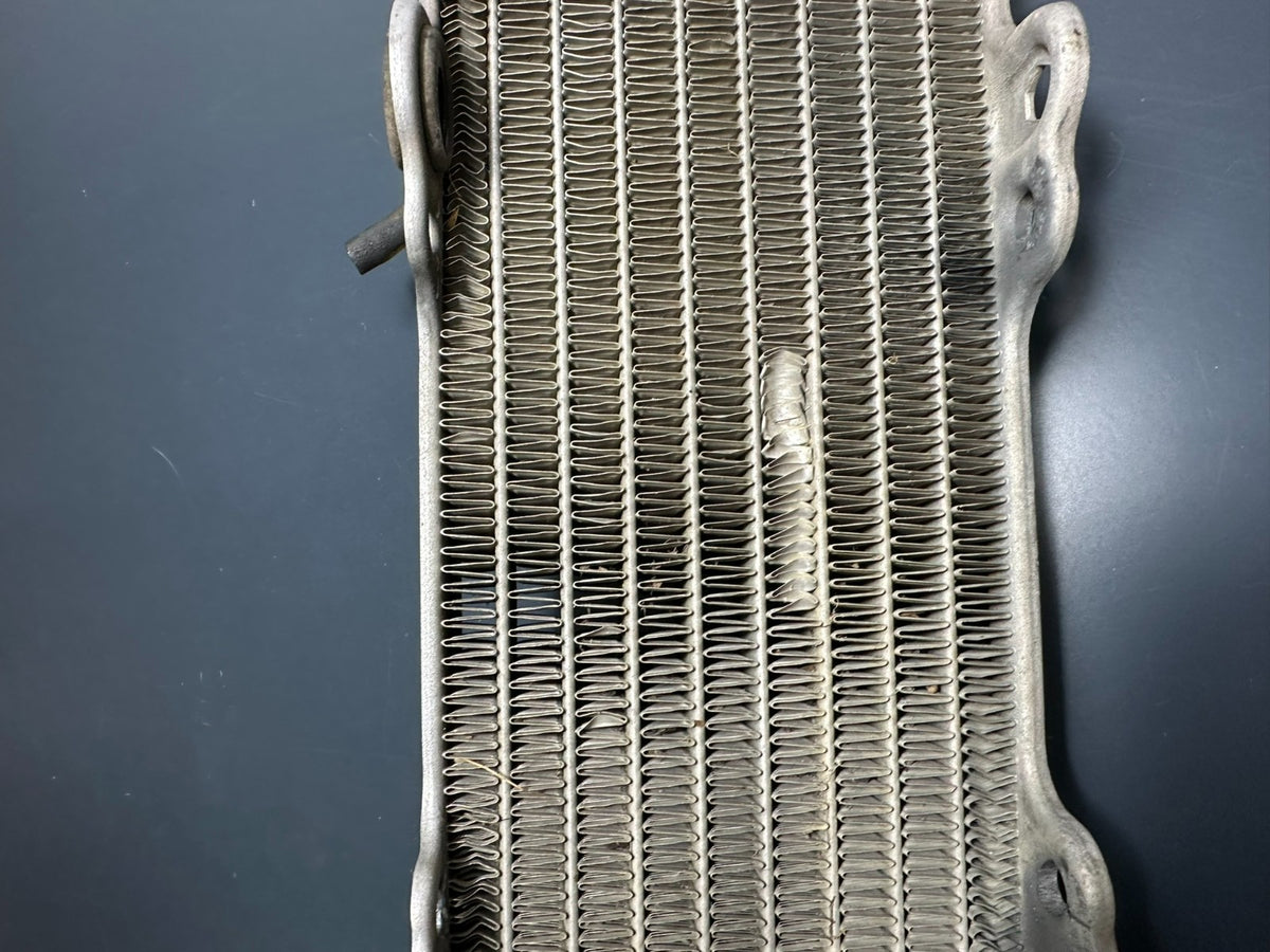 v1|137150429155|0